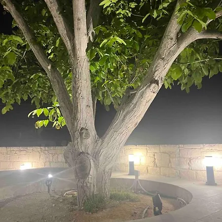 Walnut Cozy House Goudhi