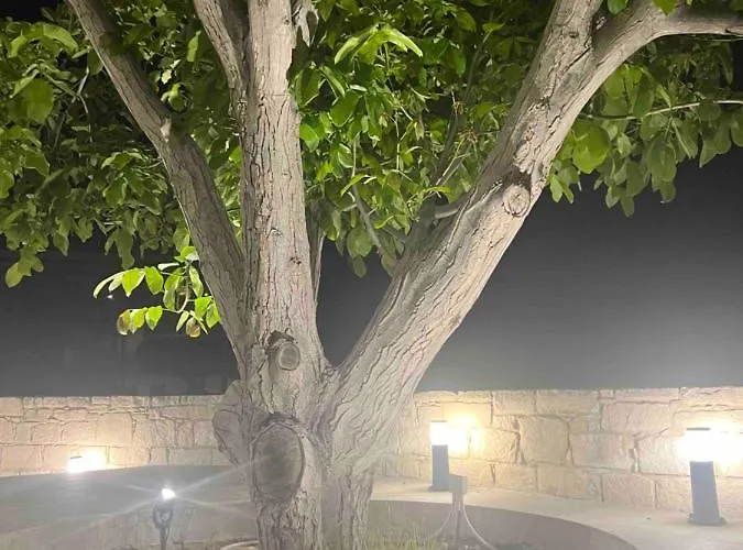 Walnut Cozy House Goudhi